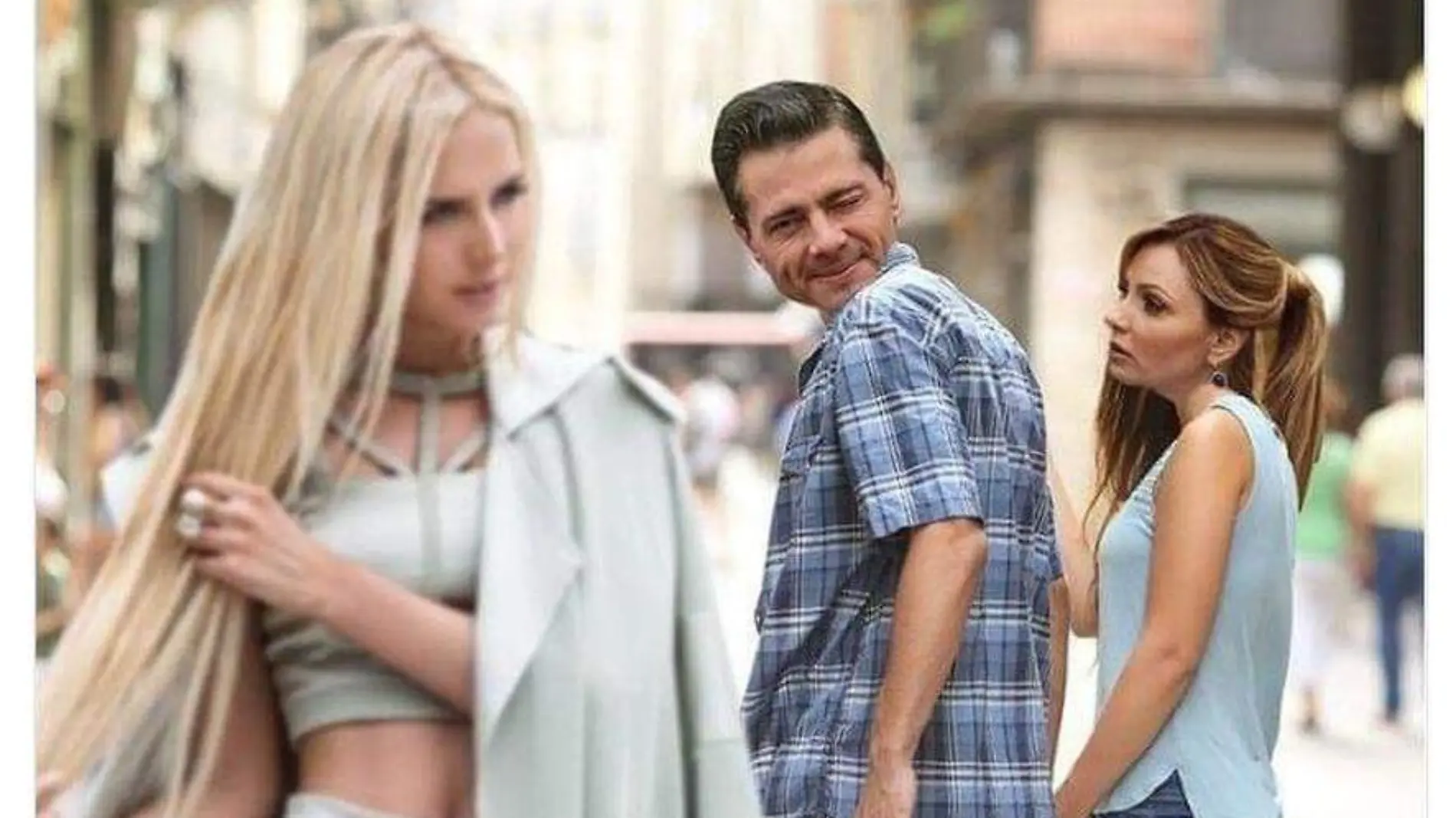 memes peña nieto gaviota (1)